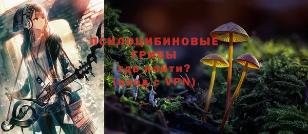 прущий лед Абаза
