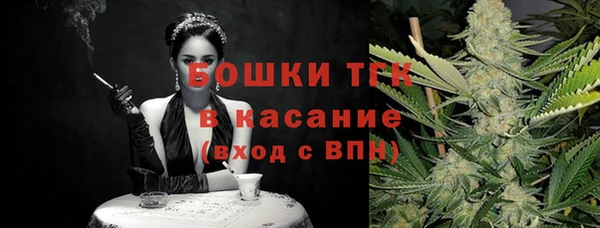 прущий лед Абаза