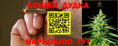 прущие грибы Кулебаки