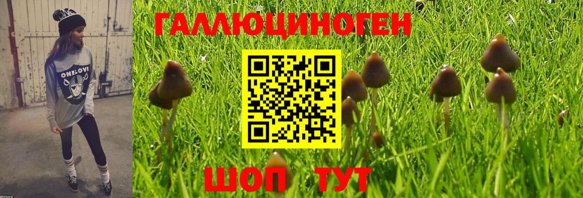 Галлюциногенные грибы MAGIC MUSHROOMS Тутаев
