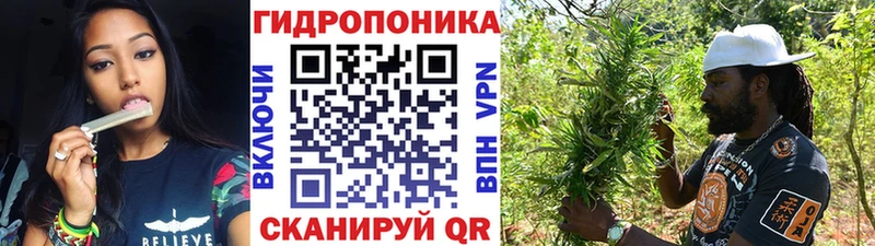 Бошки марихуана конопля Тутаев